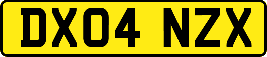DX04NZX