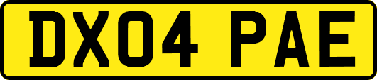 DX04PAE