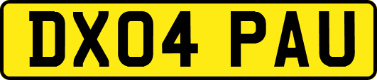 DX04PAU