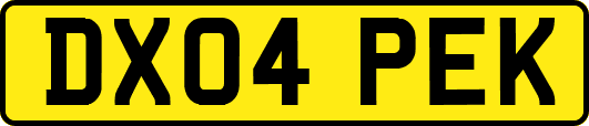 DX04PEK