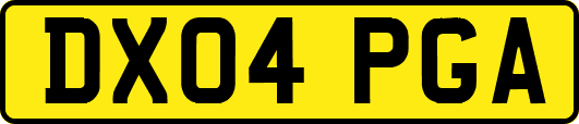 DX04PGA