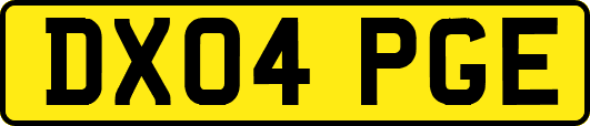 DX04PGE