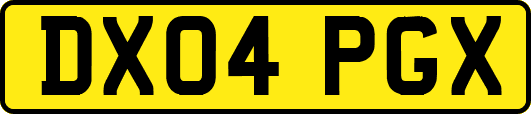 DX04PGX