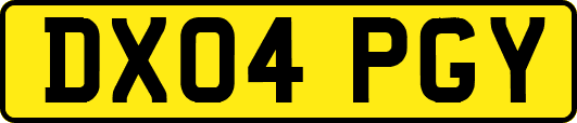 DX04PGY