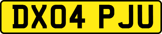 DX04PJU