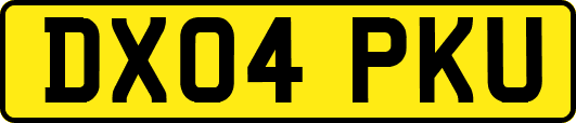 DX04PKU