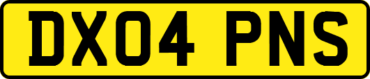 DX04PNS