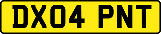 DX04PNT