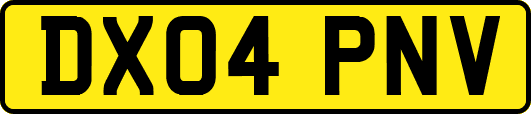 DX04PNV
