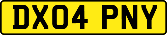 DX04PNY