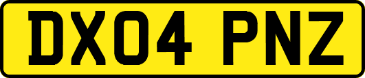 DX04PNZ