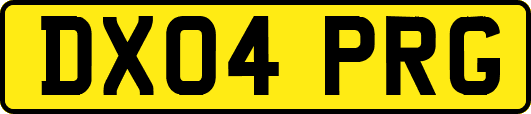 DX04PRG