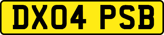 DX04PSB