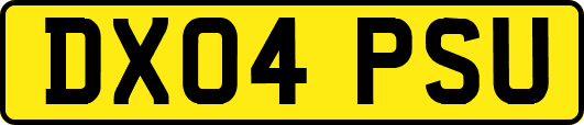DX04PSU