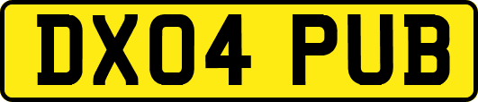 DX04PUB