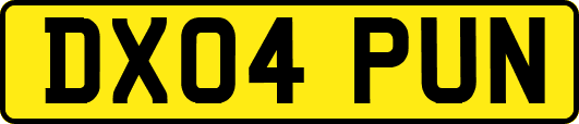 DX04PUN