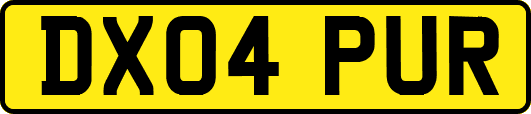 DX04PUR