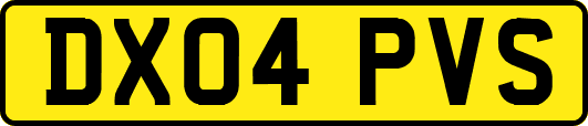 DX04PVS