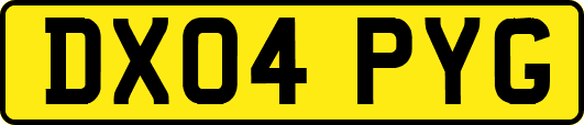 DX04PYG