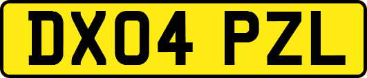 DX04PZL