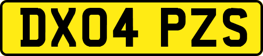 DX04PZS