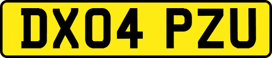 DX04PZU