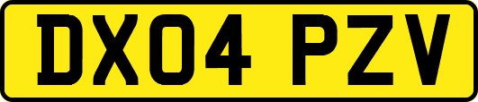 DX04PZV