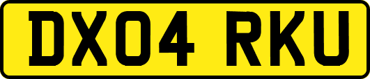 DX04RKU