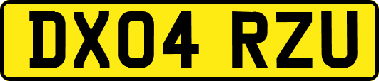 DX04RZU
