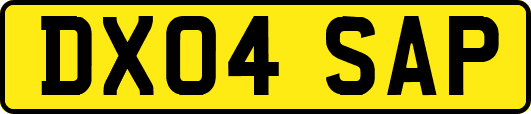 DX04SAP