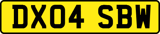 DX04SBW