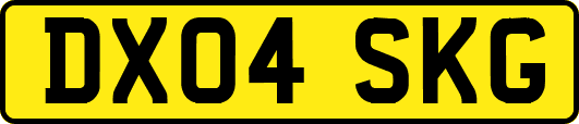 DX04SKG