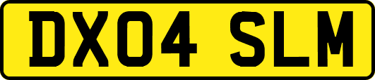 DX04SLM
