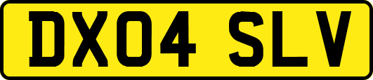 DX04SLV