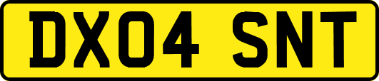 DX04SNT