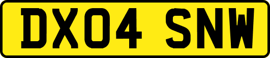 DX04SNW