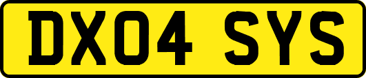 DX04SYS