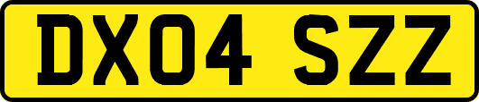 DX04SZZ