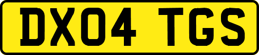 DX04TGS