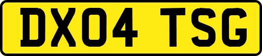 DX04TSG