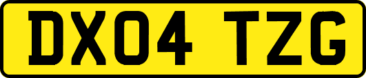 DX04TZG