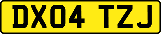 DX04TZJ
