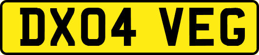 DX04VEG