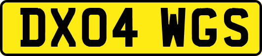 DX04WGS