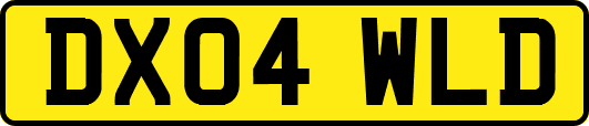 DX04WLD