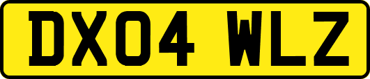 DX04WLZ