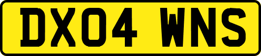 DX04WNS