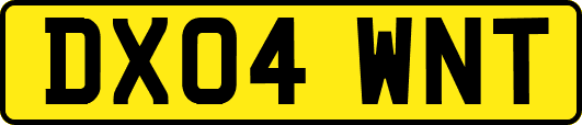 DX04WNT