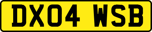 DX04WSB