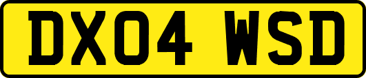 DX04WSD